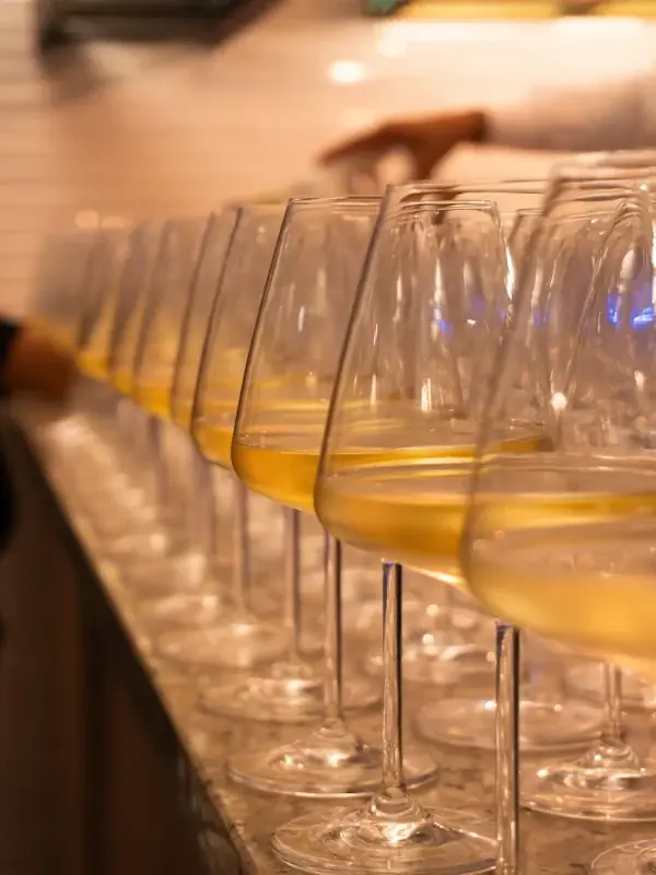 Symphony of Wine & Cuisine